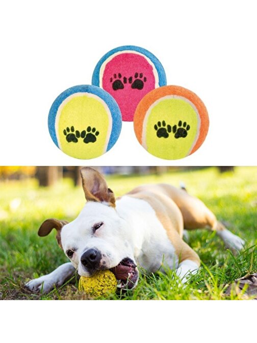 3&amp;amp;apos;lü Renkli Desenli Tenis Topu Kedi Köpek Oyuncağı
