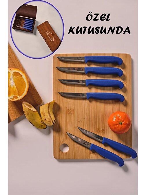 Maison Art Steel Kutulu 5 Parça Çelik Meyve Bıçağı Seti Mavi Saplı Bıçak Seti