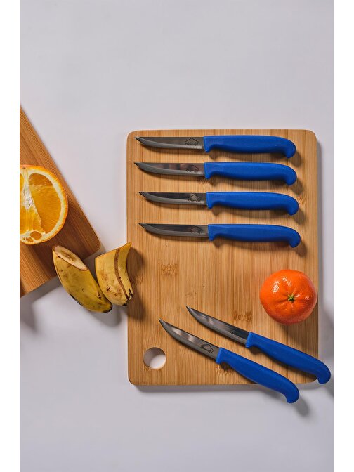 Maison Art Steel 5 Parça Çelik Meyve Bıçağı Seti Mavi Saplı Bıçak Seti