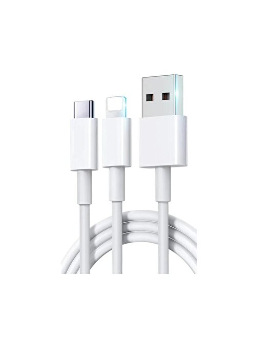 Winex Apple 120W 5A 2in1 USB-A to Type-C - Lightning Hızlı Şarj Data Kablosu 1.2 m