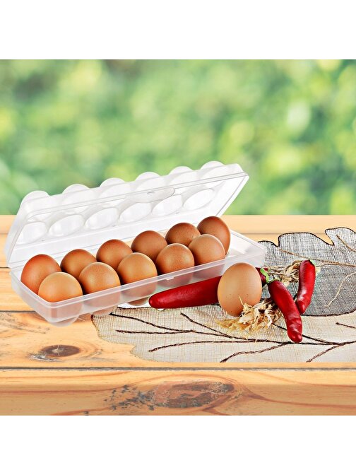 Go İthalati 3877 Şeffaf Kapaklı Kilitli Yumurta Saklama Kabı Kutusu Aparatı 12L
