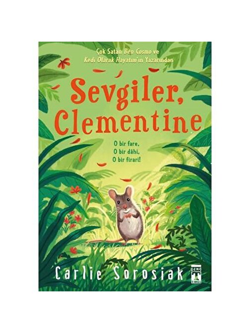 Genç Timaş Sevgiler Clementine - Carlie Sorosiak