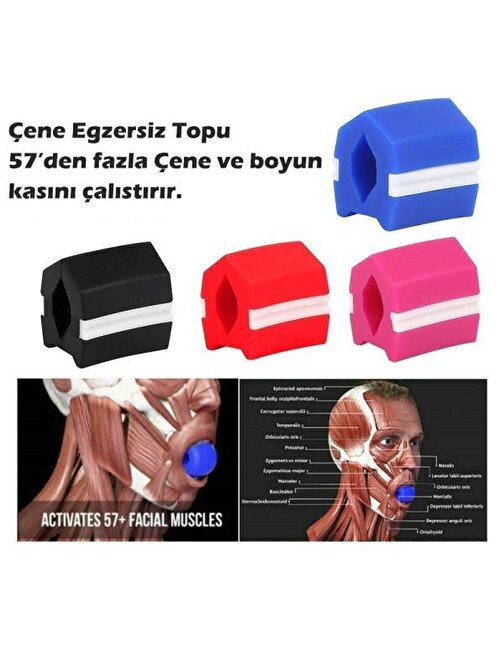 Çene Egzersiz Topu Çene Çizgisi Güçlendirici