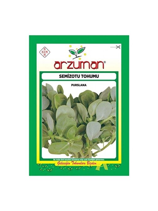 Arzuman Geniş Yapraklı Semizotu Tohumu-10 gr