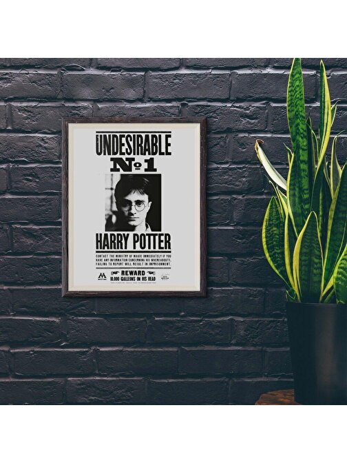 Wizarding World - Harry Potter Poster - Undesirable No 1, Harry Potter B.