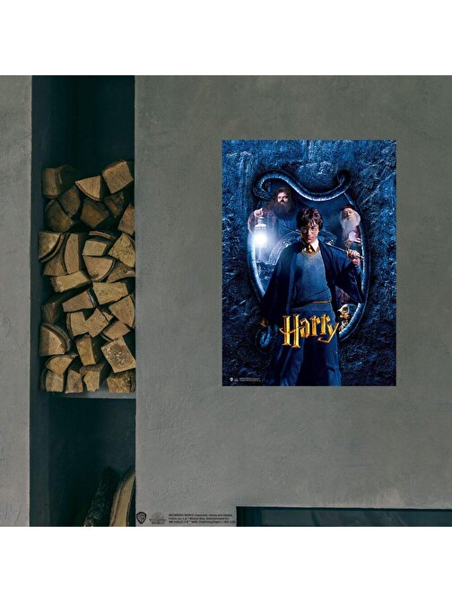 Wizarding World - Harry Potter Poster - Hogwarts Karakter, Harry B.
