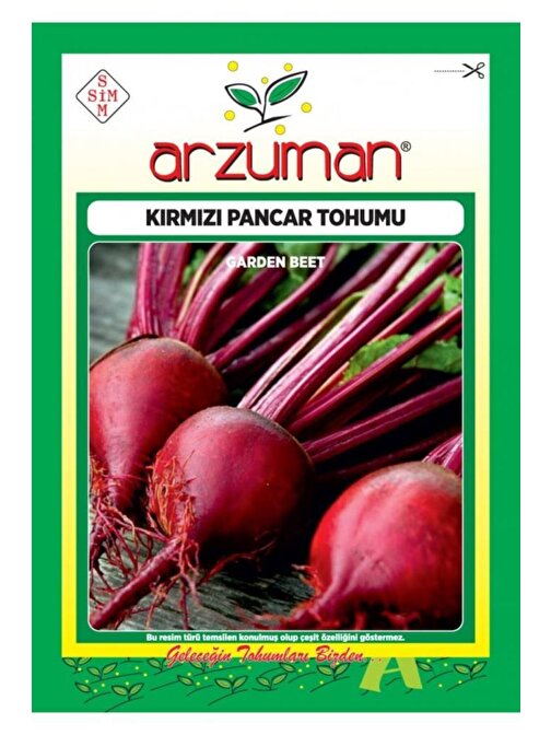 Arzuman Tohum Pancar Tohumu Kırmızı Pancar 10 gr