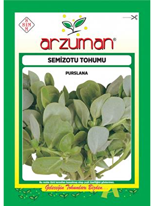 Arzuman Semizotu Tohumu