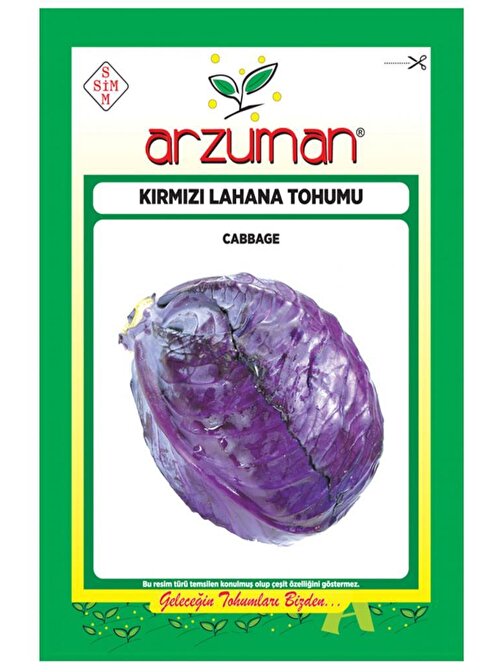 Arzuman Kırmızı Lahana Tohumu