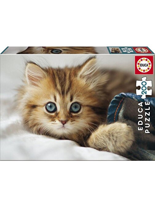 Educa Games 200 Parça Kitten Puzzle