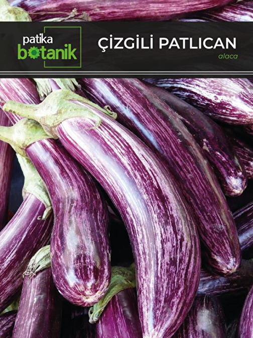 Patika Botanik Çizgili-Alaca Patlıcan Tohumu 200 Adet
