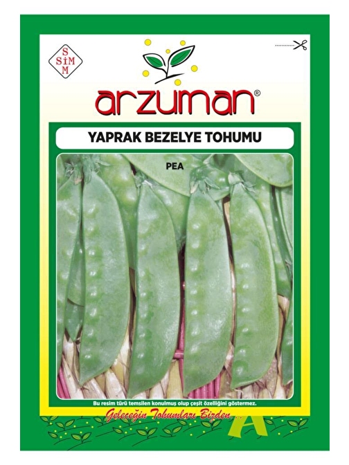 Patika Botanik Yaprak Bezelye Tohumu 75 Tohum 25 gr