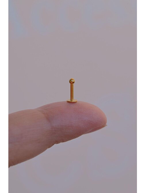Gold 2 mm Küçük Toplu Çelik Piercing Tragus Helix Kıkırdak Lob Conch Burun Minimal Ürün