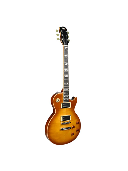 Dmx Guitars DALP200 Slash Les Paul Standard  Elektro Gitar (Taşıma Çantası Hediyeli)