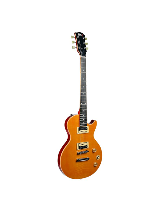 Dmx Guitars DALP100 A Slash AFD Les Paul Elektro Gitar (Taşıma Çantası Hediyeli)