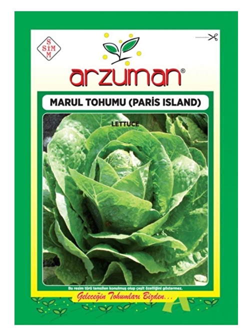 Arzuman Tohum Marul Tohumu Paris Island 10 gr