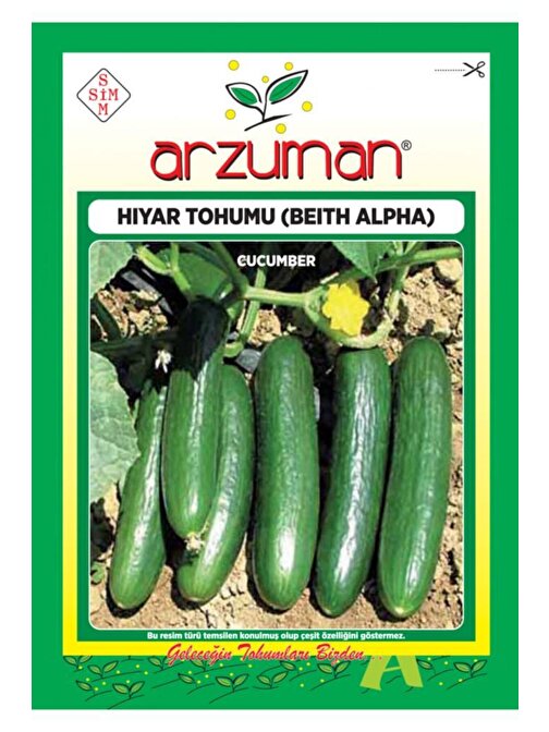 Arzuman Tohum Salatalık Tohumu Beith Alpha 10 Gr