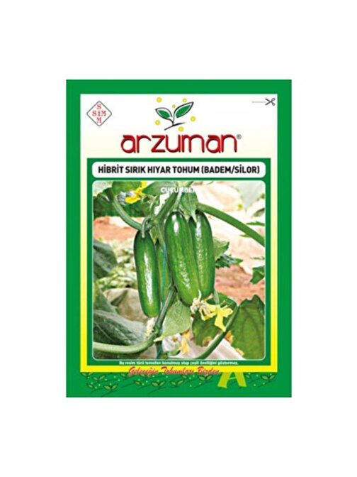 Arzuman Hibrit Sırık Hıyar Salatalık Tohumu Badem/Silor10 Adet