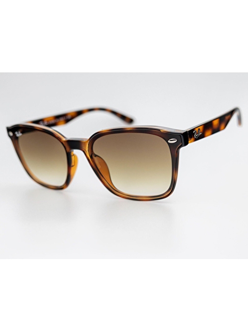 Ray-Ban RB 4392 710/13  66-17 Unisex Güneş Gözlüğü