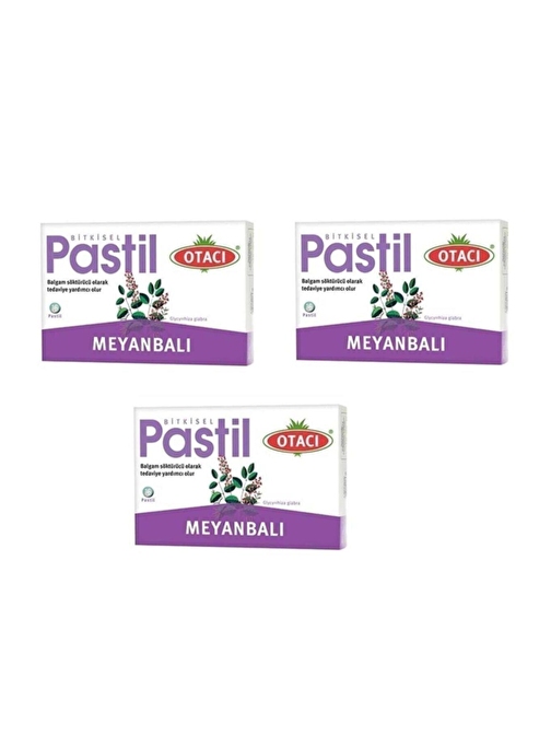 OTACI PASTİL MEYANBALI X 3 PAKET