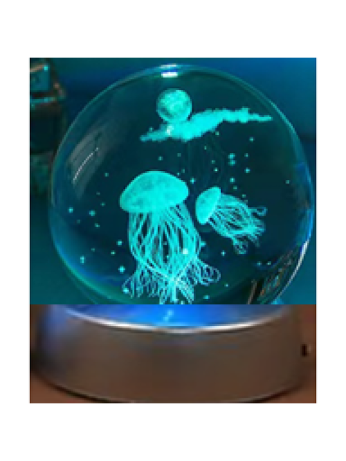 Nusrat Bilişim Deniz Anası Plastik Altlıklı Işıklı Cam Küre