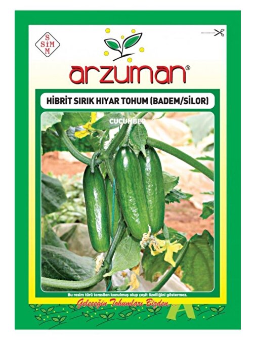 Arzuman Hibrit Sırık Salatalık Tohumu 10 Adet Badem/Silor