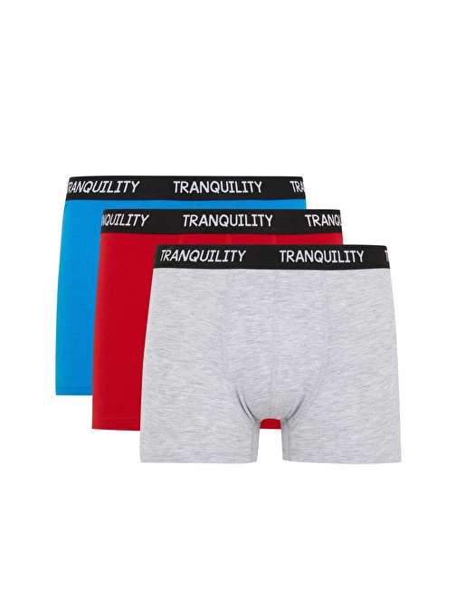 Regular Fit Slogan 3lü Boxer B0523AX23AU