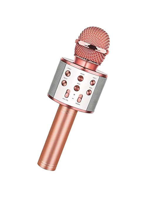 nefertiya Bluetooth Karaoke Mikrofon