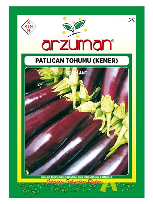 Patika Botanik Kemer Patlıcan Tohumu 1500 Adet Tohum 10 gr