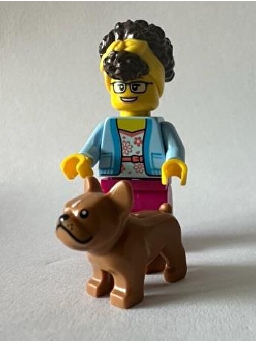 Lego Orjinal Minifigür Woman with French bulldog Yaratıcı Bloklar 5 Parça Plastik Figür