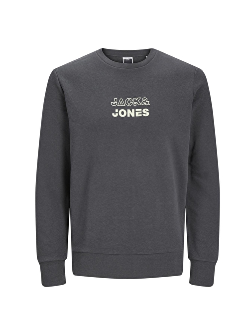 Jack & Jones Gri Erkek Sweatshırt 12225139_JCORIZ SWEAT CREW NECK