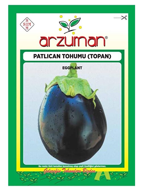 Arzuman 10 gr Top Patlıcan Tohumu Topan Çeşidi