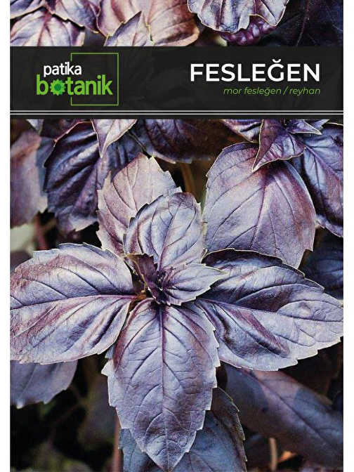 Mor Fesleğen - Mor Reyhan (ocimum Basilicum) Çiçek Tohumu 100 Adet