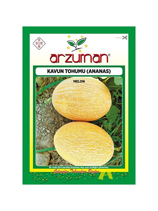 250 Adet Ananas Kavun Tohumu