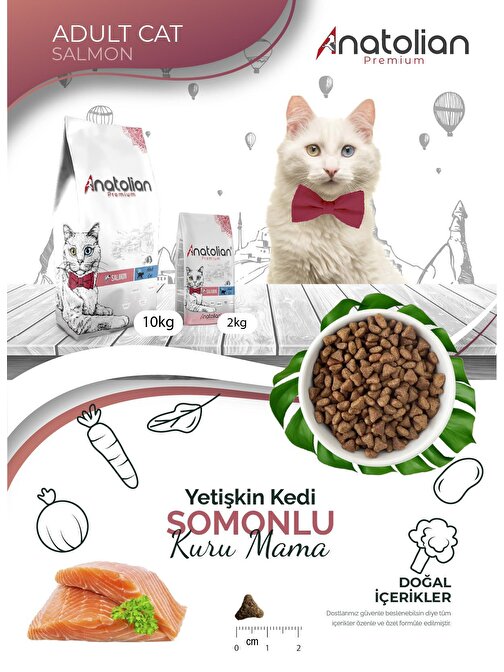 Anatolian Premium Adult Salmon Somonlu Yetişkin Kedi Maması 2 Kg