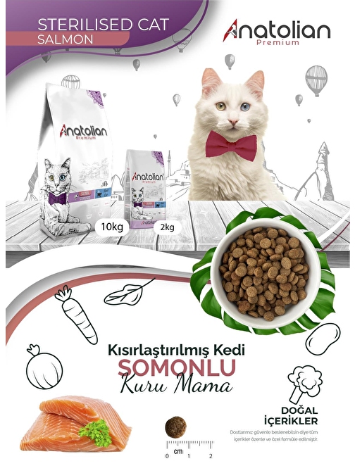 Anatolian Premium Sterilised Salmon Somonlu Kısırlaştırılmış Kedi Maması 2 Kg