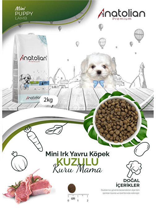 Anatolian Premium Mini Puppy Lamb Kuzulu Küçük Irk Yavru Köpek Maması 2 Kg