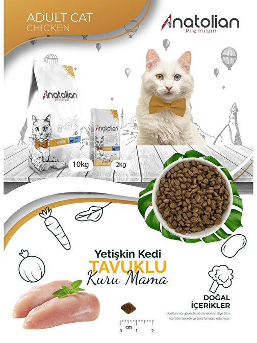 Anatolian Premium Adult Chicken Yetişkin Tavuklu Kedi Maması 2 Kg