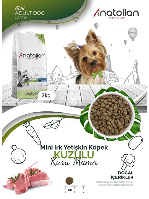 Anatolian Premium Mini Adult Lamb Kuzulu Yetişkin Küçük Irk Köpek Maması 2 Kg