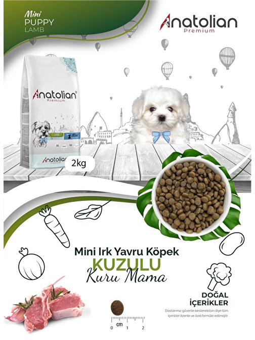 Anatolian Premium Mini Puppy Lamb Kuzulu Küçük Irk Yavru Köpek Maması 4 Kg