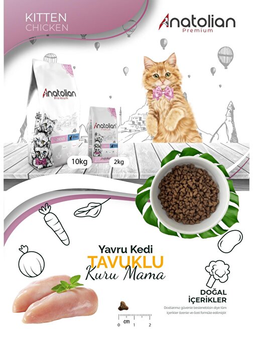 Anatolian Premium Kitten Chicken Tavuklu Yavru Kedi Maması 4 Kg