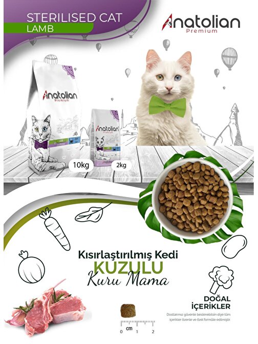 Anatolian Premium Sterilised Lamb Kuzulu Kısırlaştırılmış Kedi Maması 4 Kg