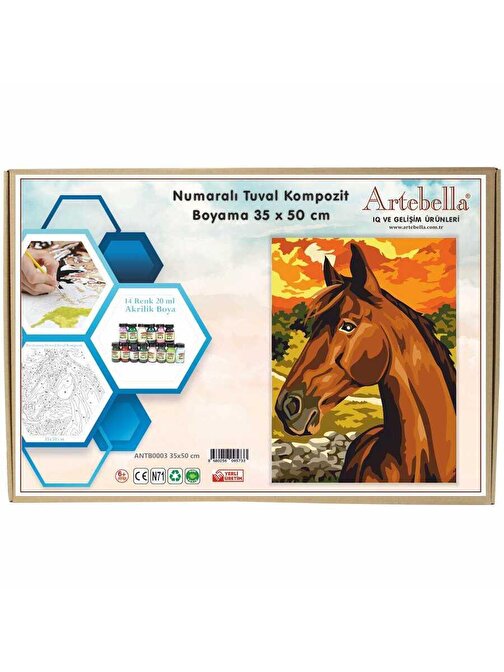 Artebella 35x50 Numaralı Kompozit Tuval Boyama At