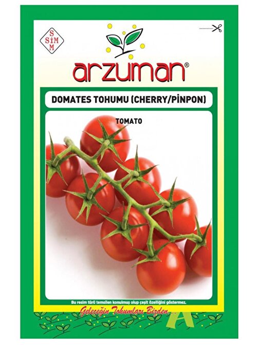 Domates Tohumu (cherry-pinpon)