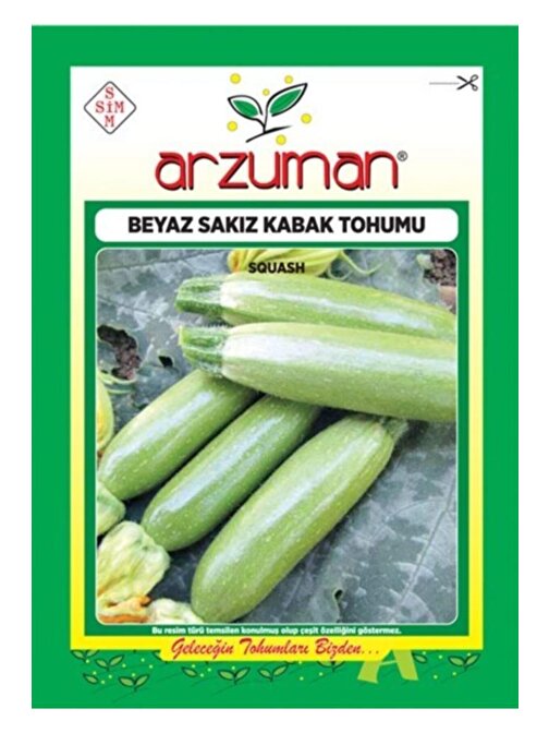 Sebze Beyaz Sakız Kabak Tohumu 10 Gr