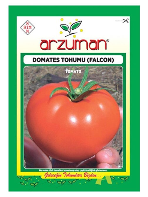 Falcon domates Tohumu (5 Gr)
