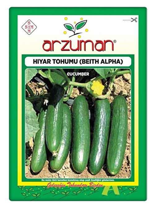Salatalık Tohumu (10 Gr) Beith Alpha Tipi (oturak)