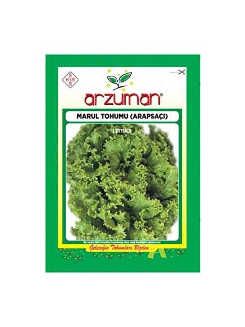 Standart Arapsaçı Marul Tohumu-10 Gram