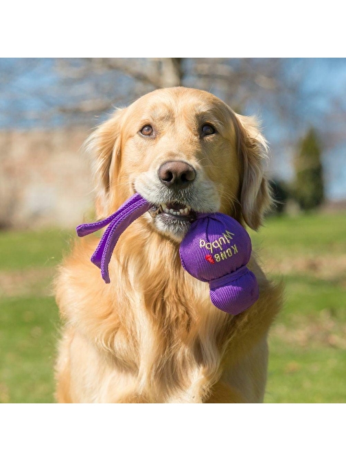 Kong Köpek Wubba Sesli Oyuncak L 34cm