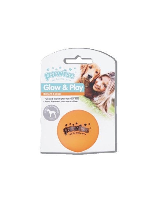 Pawise Vinyl Toy-Luminous Ball L Köpek Oyuncağı